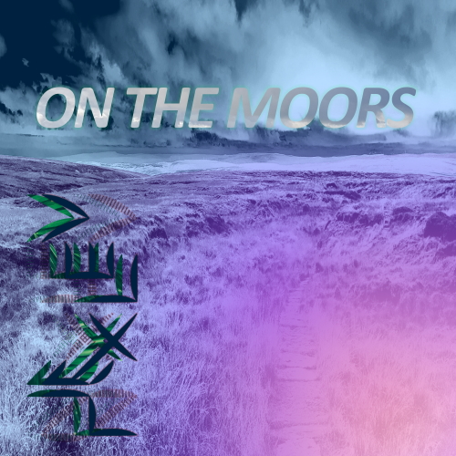 'On The Moors' by Nexlev released at the back-end of 2021 is a contemporary drum and bass track. Available on most platforms. Please follow and like for more.